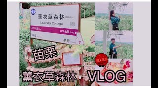 VLOG 薰衣草森林的最後一天！苗栗明德店結束營業？！