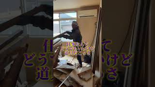 70歳のおじいちゃんがやらかしました、、 #リフォーム #建築現場 #解体