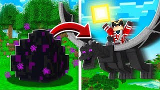 COMMENT DRESSER LE DRAGON DANS MINECRAFT !