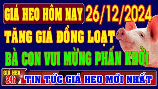 Giá heo hơi ngày 28/12/2024 - TĂNG GIÁ ĐỒNG LOẠT, BÀ CON VUI MỪNG PHẤN KHỞI