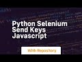 python selenium send keys javascript