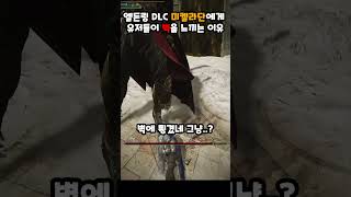 엘든링 DLC 미켈라단 벽을 느낀 이유 #Shorts #근든링 #eldenring #게임