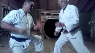 Video # 21 Tomari Seisan Bunkai demonstrated by Sensei Nick Flores.