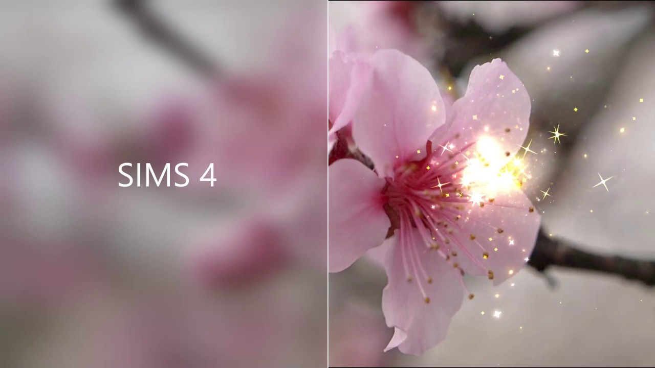 Starter Home Speed Build Sims 4 Youtube