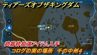 ティアキン　コログの実の場所　千の中州４　武器枠拡張アイテム入手　＃１２５２　【ゼルダの伝説ティアーズオブザキングダム】