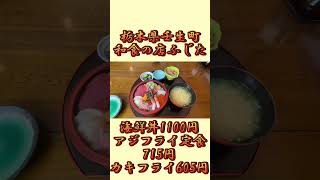 【鮮魚店直営】隣がお魚屋さんのコスパ最強の絶品海鮮食堂！【栃木県壬生町】和食・鮮魚の店 ふじた【栃木グルメ】#shorts