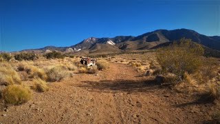 Exploring ABANDONED HOUSES In The MOJAVE DESERT + Visiting The OASIS!