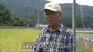 KBS京都テレビ 「あぐり京都」京みのり 森さん(南丹市)　2016年9月放送