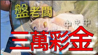 #清水福 挑戰盤老闆 有哪麼難嗎? 釣到懷疑浮標訊號.......Fishing  台湾の釣り 낚시 câucá