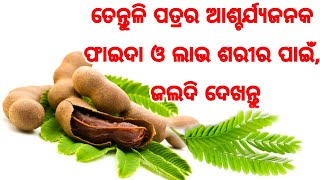 ଜାଣନ୍ତୁ ଶରୀର ପାଇଁ କେତେ ଉପକାରୀ ଓ ଔଷଧୀୟ ଗୁଣରେ ଭରପୁର ଥାଏ ତେନ୍ତୁଳି ପତ୍ର