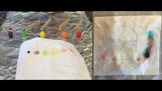 Skittles Chromatography