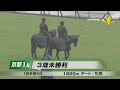 2023 05 07【パドック返し馬つき】京都1r　３歳未勝利戦　☆シブースト　ロードカナロア　＃レースは12分ころから