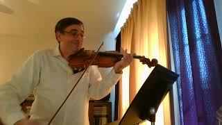 Violin Concerto in E-Minor, 1st movement (Nardini)