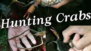 രാത്രിയിലെ ഞണ്ട്🦀 🦐 പിടുത്തം | Crab Hunting | Night Fishing | Shrimp | Vembanad Kayal