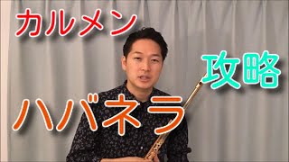 【THE FLUTE】攻略動画「ハバネラ」フルート神田勇哉