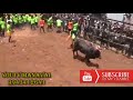 kalpalathampatti jallikattu manaparai