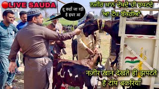 नज़ीर ख़ान देखते ही झपटते है टॉप बकरियाँ #live_sauda Mullanpur bakri bazar goat @FarmingbabaPunjab