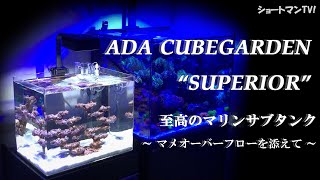 日本初⁉究極の水槽スペリアで海水サブタンク水槽！ショートマンTV!