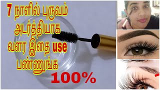 புருவம் அடர்த்தியாக வளர எளிய வழி/How to grow eyebrows thicker, faster/eyebros growth in tamil