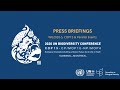 (English) (Media Opportunity with the UN SG) - Wednesday, 7 December 11:00 (GMT-5)