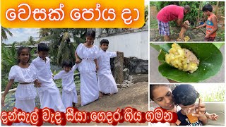 වෙසක් පෝය දා| සීයා ගෙදර යන ගමන් දන්සැල් |පොඩ්ඩෝ 5 එක්ක සුදුවතින් සැරසී පන්සල් යමු #v7අපි #with5kids