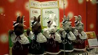 新潟大和　ダンシングラビッツ２００９