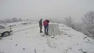 Trying to save the life for the sick and old stray dog in South Kosovo