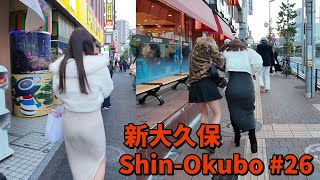 【4K Tokyo walk】新大久保 Shin-Okubo #26