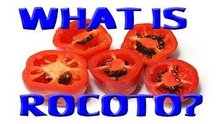 What is Rocoto?