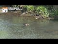 地モトnews【初夏の野鳥観察会】2021 5 18放送