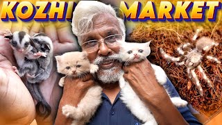 Chennai's Biggest Pet Market 😍😲| கோழி மார்க்கெட், Broadway 🔥