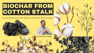 Biochar from Cotton Stalks: Sustainable Solution with Maximum Benefits \u0026 Minimal Impact