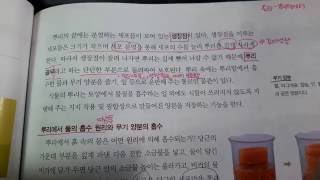 152p 뿌리에서의 물과 무기양분 흡수