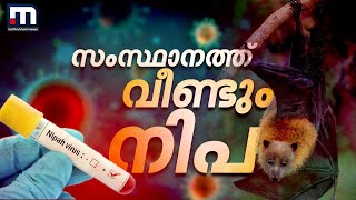 മലപ്പുറത്ത് നിപ സ്ഥിരീകരിച്ചു; ആശങ്കവേണ്ടെന്ന് ആരോഗ്യ മന്ത്രി, പഞ്ചായത്തിൽ മാസ്ക് നിർബന്ധമാക്കി