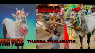 BMC THANGA THALABATHI BULL first prize video 🔥🥰💥