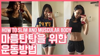 [ENG] 마름 탄탄이 되려면 어떤 운동을 해야 하나요?(유산소vs근력) (How to slim and muscular body)