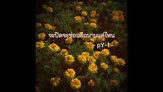 จะปิดจะซ่อนอีกนานแค่ไหน - pY-1 - ( Lyrics )