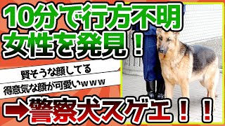 【2ch動物スレ】警察犬スゲエ！たった10分で不明女性を発見！