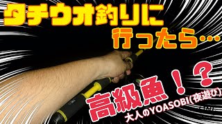 タチウオ釣りに行ったら、高級魚が……！鱧(ハモ)釣り！防波堤(ショア)からの釣りが面白い！【ブッコミ釣り道】