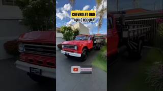 CHEVROLET D60 AQUI É CAMINHÃO RAIZ #automobile #caminhoneiro #shortsviral #chevrolet #top