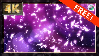 【4K】無料CG背景素材　10秒ループ動画　ゆっくり舞い散るさくら夜桜の花びら【Aftereffects】