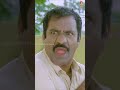 cute comedy scene of dog venghai malayalam movie shorts