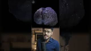 মানুষের Brain সত্যিই Amazing! 😱