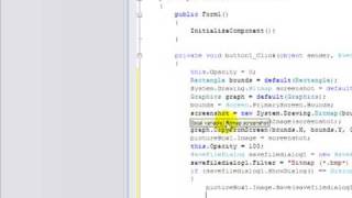 Visual C# 2008 Screen Capture