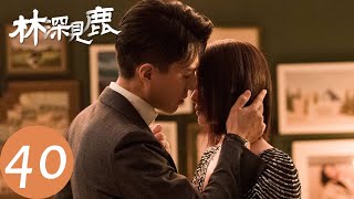 ENG SUB【林深见鹿 Nice To Meet You Again】END EP40 林绍涛再次向简艾求婚，各自拥有美满结局（靳东、李小冉）