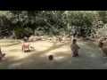 kali tempuk alas ketonggo lebaran 2017