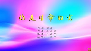 你是生命的光 - 精选赞美诗之1902首（词：胡杨；曲：小小草；唱：台培明）