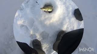 pike fishing рыбалка жерлицы горят