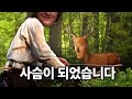 사슴인척 하는 게임