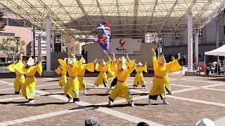 みやざきえれこっちゃ隊 2023/10/22 YOSAKOIさせぼ祭り